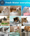 Cats drinking from various water fountains showcasing 8X Anti Splash No Spill Dog Water Bowl Replacement Filters That Fit URPOWER LumoLeaf ELS Pet and More Keeps Water Fresh No Sweat Swap White 8 Pack Durable Easy Install Universal Fit No Spill.