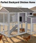 Large Backyard Chicken And Duck Coop With Run For 8 To 10 Birds Wooden Hen House with ramp, nesting box, and mesh walls outdoors