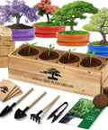 Beginner Friendly Bonsai Starter Kit With Seeds And Tools All In One Indoor Tree Growing Set For Living Plants Great Gift
