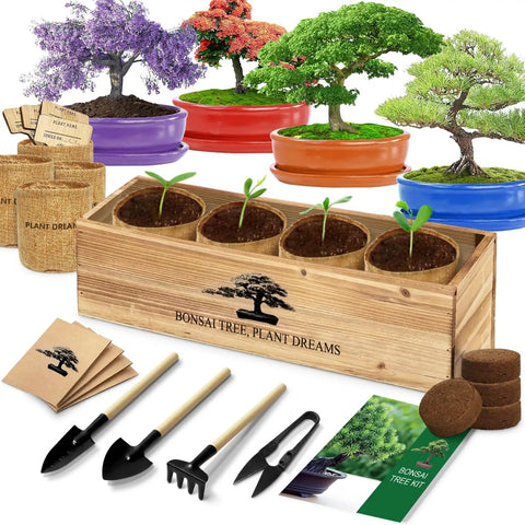 Beginner Friendly Bonsai Starter Kit With Seeds And Tools All In One Indoor  Tree Growing Set For Living Plants Great Gift For Women Men Mom Dad Plant  