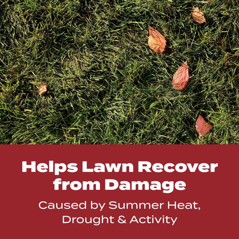 Fall Lawn Fertilizer Sets Up Solid Roots For Serious Recovery From Summer Slump And Heat Stress, grass with autumn leaves.
