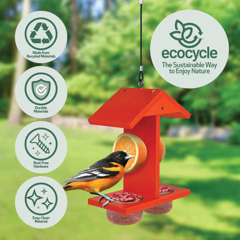 Durable Recycled Plastic Citrus Sampler Oriole Bird Feeder With Dual Sided Feeding 2 Removable Glass Dishes And Fruit Spikes