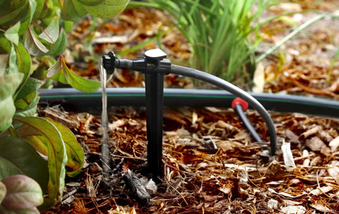 2 GPH Pressure Compensating Drip Emitter for spot watering, 30 pack, self piercing design, installed in garden with tubing.