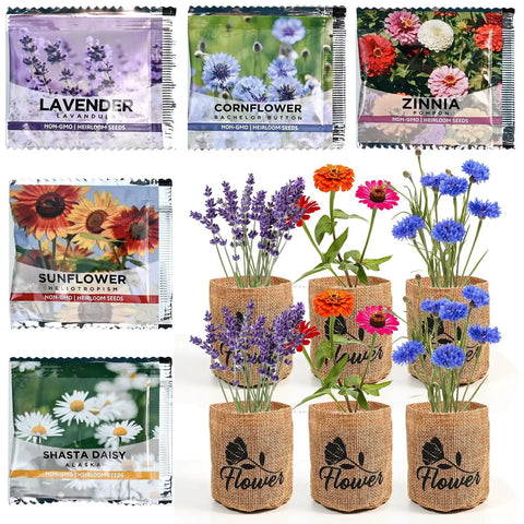Indoor Daisy Garden Starter Kit With Planter Bags, Markers, Soil Disks, Mini Shears, And Planting Guide arranged with flower seedlings