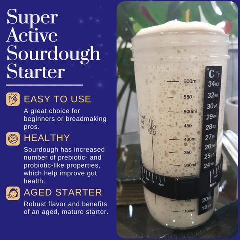 Super active sourdough starter in measuring cup, highlights San Francisco Sourdough Starter Culture Kit For Bread Pizza Pancakes And More