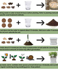 Steps for using 10 Herb Seeds Garden Starter Kit With White Pots Markers Soil Discs Watering Bottle Herb Clipper Mini Pruner Set