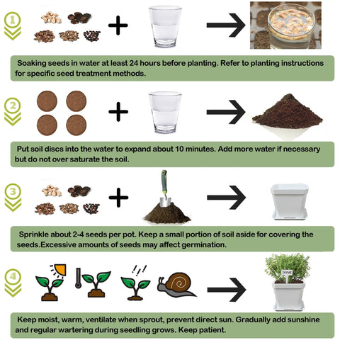 Steps for using 10 Herb Seeds Garden Starter Kit With White Pots Markers Soil Discs Watering Bottle Herb Clipper Mini Pruner Set
