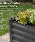 Elevated Galvanized Raised Garden Bed 72x24x30 Inches No Toxic Materials For Safe Veggie Garden And Herbs Heavy Duty Metal Planter Box Charcoal Finish That Reduces Bending And Kneeling with plants