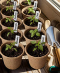 30 Pack 5 Inch Biodegradable Seed Starter Pots With Drainage Holes And Plant Tags For Easy Seed Starting, Germination, And Garden