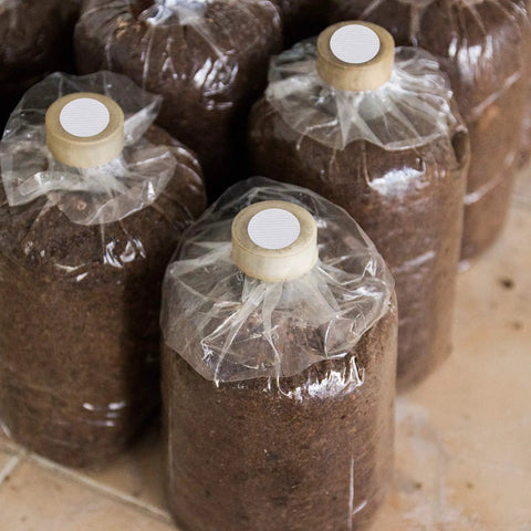 Mushroom cultivation bags with 128 Pieces Synthetic Filter Paper Discs For Mushroom Cultivation, 20 mm Diameter, on top