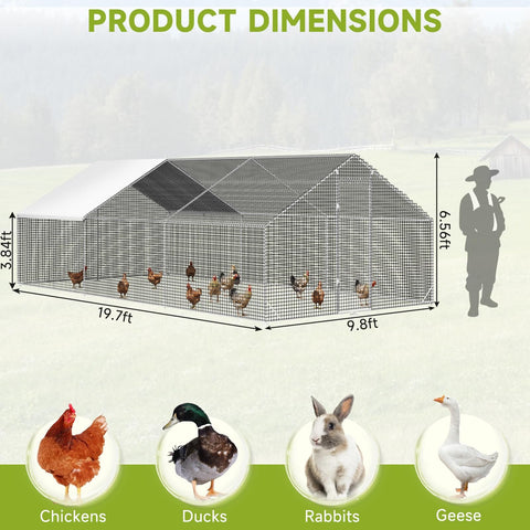 Big Walk In Chicken Coop With Run Galvanized Poultry Enclosure With Waterproof UV Cover And Secure Lock Sturdy Steel Frame Ideal