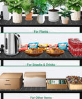 Heavy Duty 4 Tier Water Jug Rack With Top Shelf Holds Up To Nine 5-Gallon Bottles, Space Saving Storage For Garage, Shop, Man Cave, Or Home, Keeps Your Water Station Neat And Ready, black steel shelf with plants and snacks