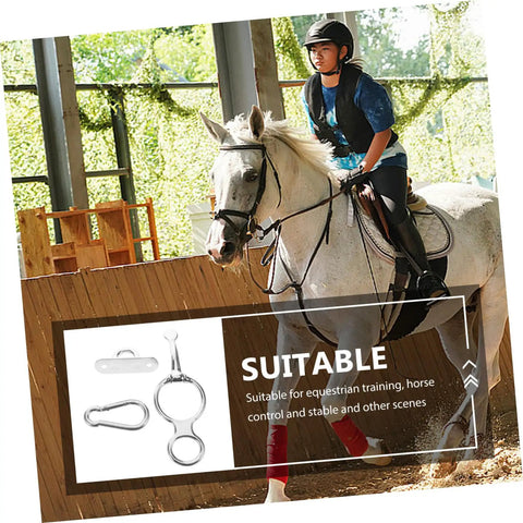 Stainless Steel Horse Stirrup And Tie Ring Set For Trailers And Show Ready Riders Durable Trailer Accessory Clip shown next to rider