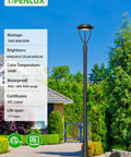 LED Post Top Light 60W 48W 36W Adjustable Outdoor Pole Light With Photocell IP65 Waterproof Fixture 5000K in garden setting