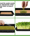 8 Pack Seed Sprouter Tray With Hemp Fiber Grow Mat For Microgreens And Wheatgrass, showing seeds being sown and watered.