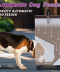 Heavy Duty Gravity Dog Feeder For Large Breeds Outdoor Auto Food Dispenser Galvanized Steel 30 Pound Capacity near a dog.