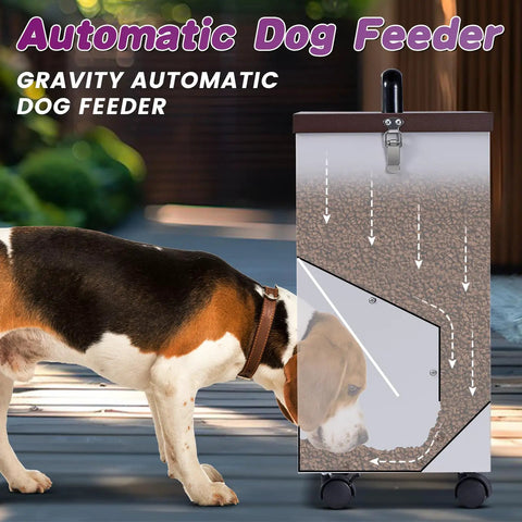Heavy Duty Gravity Dog Feeder For Large Breeds Outdoor Auto Food Dispenser Galvanized Steel 30 Pound Capacity near a dog.