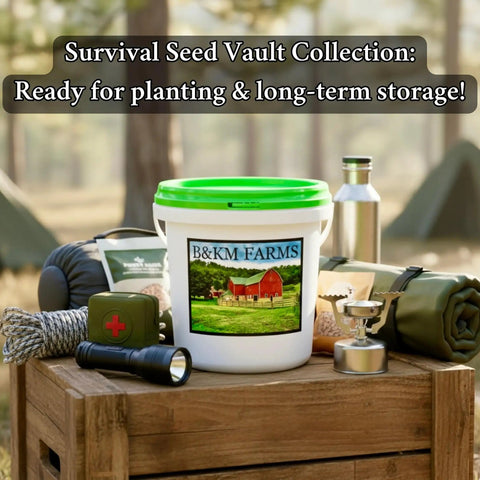 Survival Seed Vault For Beginners Starter Pack With 20k Heirloom And Non GMO Seeds 30 Easy To Grow Varieties displayed outdoors