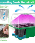Five Pack Seed Starter Tray With LED Grow Light, 60 Cell Germination Kit showing water drainage and planted seeds