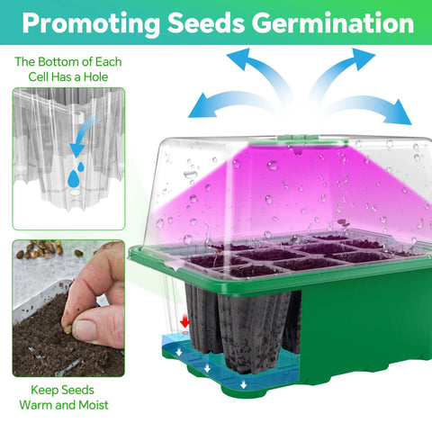 Five Pack Seed Starter Tray With LED Grow Light, 60 Cell Germination Kit showing water drainage and planted seeds