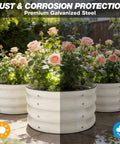 Galvanized Raised Garden Bed Kit With Three 2x2x1ft Round Planter Beds filled with pink roses, showing rust protection.