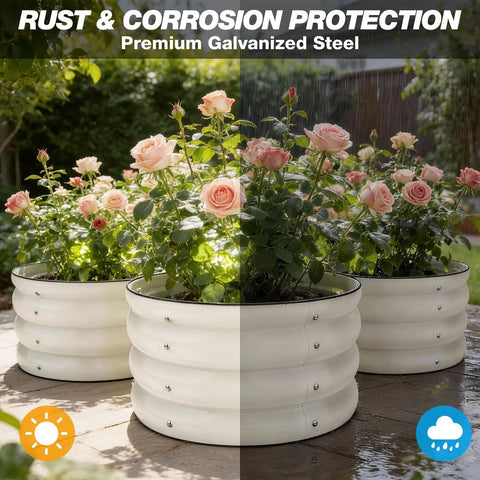 Galvanized Raised Garden Bed Kit With Three 2x2x1ft Round Planter Beds filled with pink roses, showing rust protection.