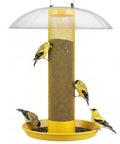 Outdoor Finch Bird Feeder Tube With Rainproof Dome Metal Mesh For Nyjer Thistle Seed No Mess 2.5 Lb Capacity Large Removable Tray