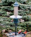 Ultra Squirrel-Proof Bird Feeder With Cardinal Ring And Six Feeding Ports, large 5.1 pound seed capacity, installed outdoors.