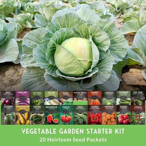 Indoors Or Outdoors Vegetable Seed Kit With 20 Heirloom Non GMO Varieties For Beginners A Great Gift For Family Gardeners