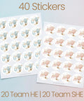 40 Count Pink and Blue Hot Air Balloon Gender Reveal Stickers for Team He and Team She, 1.75 Inch Round Labels on blue background