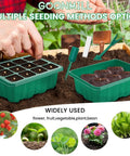 Ultimate Seed Starter Tray Kit With Grow Lights For Easy Seed Starting, green 12-cell tray with soil, tools, and seedlings