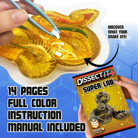 Rattlesnake Dissection Kit for Kids Kid Friendly Hands On STEM Science Toy With Carvable Model Dissecting Tray Plastic Tools And Synthetic Gelatin Material For Safe No Live Animal Learning For Ages Six And Up, with tray and guidebook