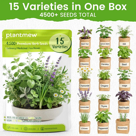 15 Pack Herb Seeds Set With 4500 Plus Non GMO Heirloom Seeds For Indoor And Outdoor Gardening Including Kickin Basil Cilantro Rosemary Thyme Dill Sage Oregano And More Culinary And Medicinal Herb Seed Variety Pack featuring 15 varieties in pots with images of herbs like basil, dill, and rosemary.