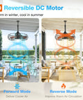 20 Inch Outdoor Ceiling Fan With Light For Patio IP65 Waterproof Plug In Caged Hanging Fan With Remote 3 CCT 6 Speeds Reversible