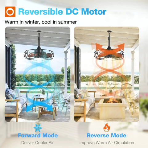 20 Inch Outdoor Ceiling Fan With Light For Patio IP65 Waterproof Plug In Caged Hanging Fan With Remote 3 CCT 6 Speeds Reversible