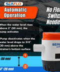 06 Series Automatic Submersible Bilge Pump 750 GPH 12V Three Quarter Inch Outlet Easy Install With Auto Float Switch diagram