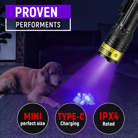 Pocket Sized Tiny But Mighty 395 Nm UV Flashlight USB C Rechargeable Black Light detecting pet urine on carpet next to dog