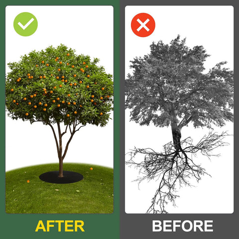 Comparison of healthy tree with 4 Pack 32.2 Inch Non Woven Tree Mulch Rings installed and unhealthy tree without them.