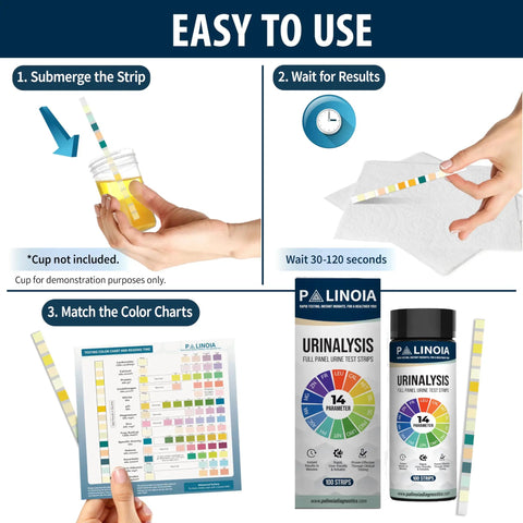 14 Parameter Urine Test Strips Full Panel For Home Health Check 100 Count Bottle With Urinalysis Screening For Kidney And Liver Health And UTI Detection Includes Ketones Protein Hydration And Acidity Level, bottle and color chart