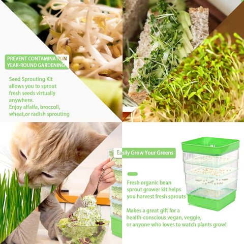 Collage featuring sprouting seeds, a green 4 Tier Seed Sprouting Kit, organic sprouts on bread, and a cat near sprouts.