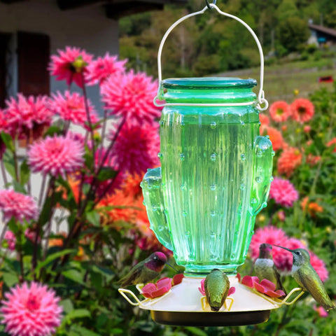 Cactus Top Fill Glass Hummingbird Feeder With Built In Bee Guards And Removable Perches 32 Ounce Nectar Capacity Outdoor Hummingbird Feeder For Gardens hanging in a garden