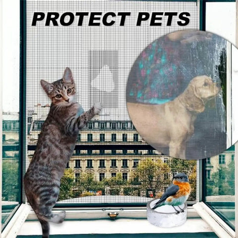 Cat and bird near window screen with strong adhesive window screen repair tape in city setting, protecting pets.