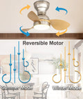 Diagram showing 22 Inch Ceiling Fan With Lights And Remote Control, Low Profile Flush Mount, reversible motor modes, wood grain blades