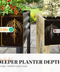 Raised Garden Bed With Cover And Legs For Outdoor Use Galvanized Elevated Planter Box 48 By 24 By 56 Inches 700 Lb Capacity Dark Gray With Zip Doors And Mesh Windows For Airflow And All Weather Growing, featuring deeper planter depth compared to standard garden bed