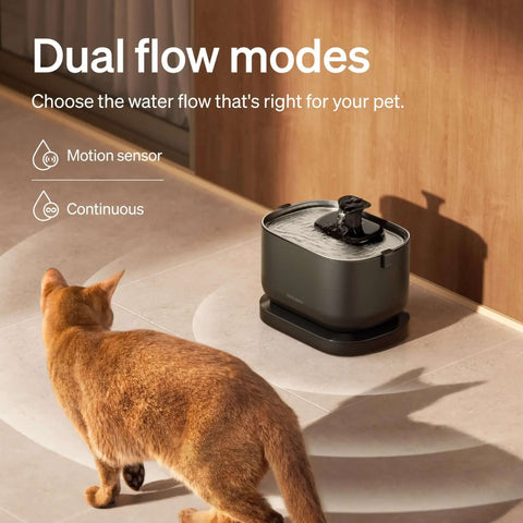 Cordless Battery Operated Cat Water Fountain With 2.5L Capacity 84oz Stainless Steel Tray BPA Free Easy To Clean Indoor Pet Fountain in use