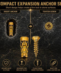 Compact Expansion Anchor Set showing golden expansion anchor and screw designed for secure hold in stone surfaces