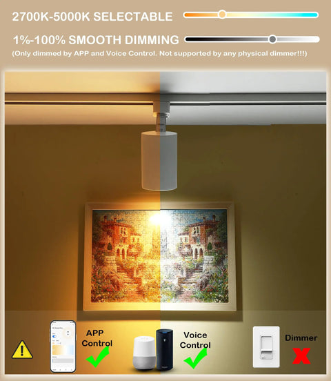 Triple Pack 11W Smart WiFi LED Track Lighting Heads With RGBCW Color Changing over a wall art with dimming control icons.