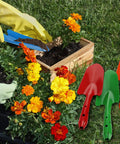Mini Colorful Metal Hand Shovel Set 12 Pcs Transplanting Trowels in use for planting flowers in garden, 11 x 3 inch, 6 colors.