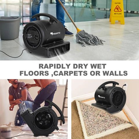 Quarter Horsepower 1000 CFM Air Mover And Floor Dryer With Two Speed Settings Carpet Dryer Black Finish Built In Safety 12 Amp Circuit Breaker For Overload Protection drying floors and carpets