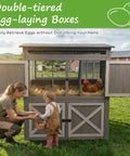Expandable Two Story Chicken Coop With Six Nesting Boxes and outdoor run, child collecting eggs with adult, farming setting.